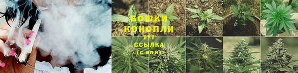молекула духа Медногорск