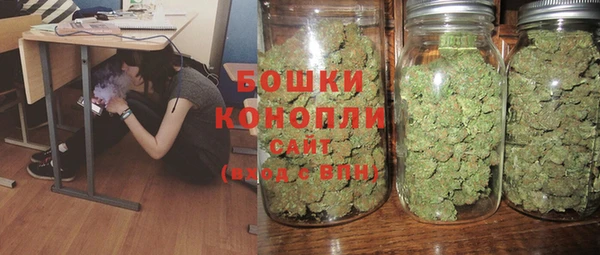 молекула духа Медногорск