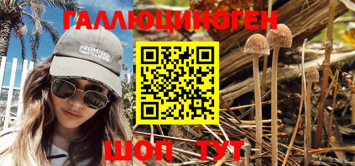 Псилоцибиновые грибы Magic Shrooms  Старая Купавна  как найти закладки  Галлюциногенные грибы Psilocybe 